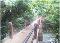 Construction of Rcc Footbridge over Riangkhon stream connecting Maweit to Nongumbi.